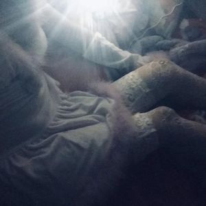 草莓视频深夜在线观看
