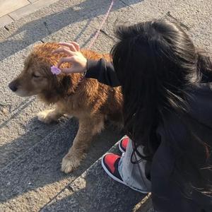 草莓视频深夜在线观看
